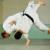 L'avatar di judoka