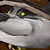 L'avatar di cyberdragon90