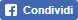 Condividi su Facebook
