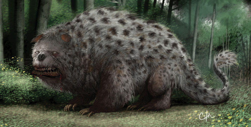 + Immagine ingrandita +